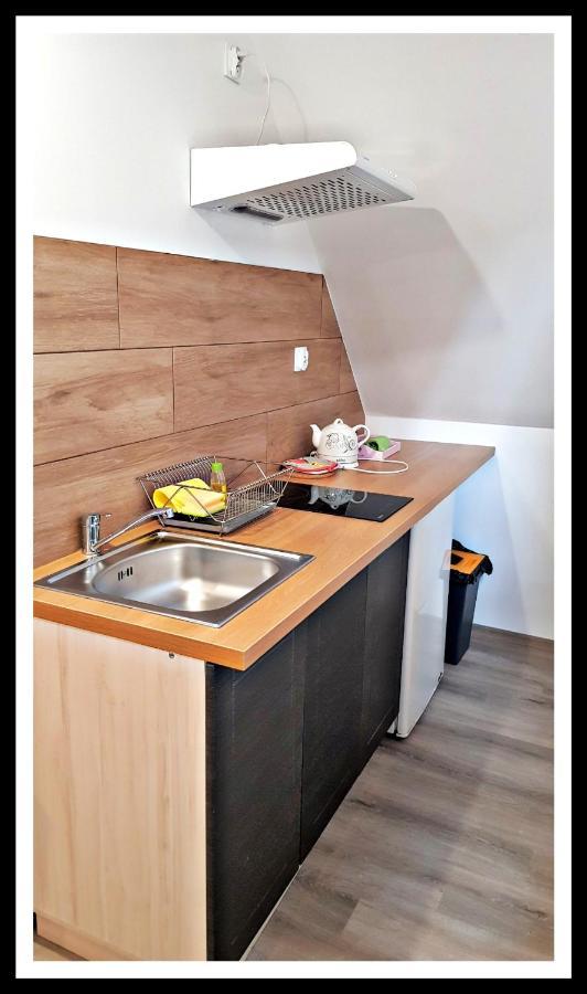 치스나 Lesne Berdo Przyslup B&B 외부 사진